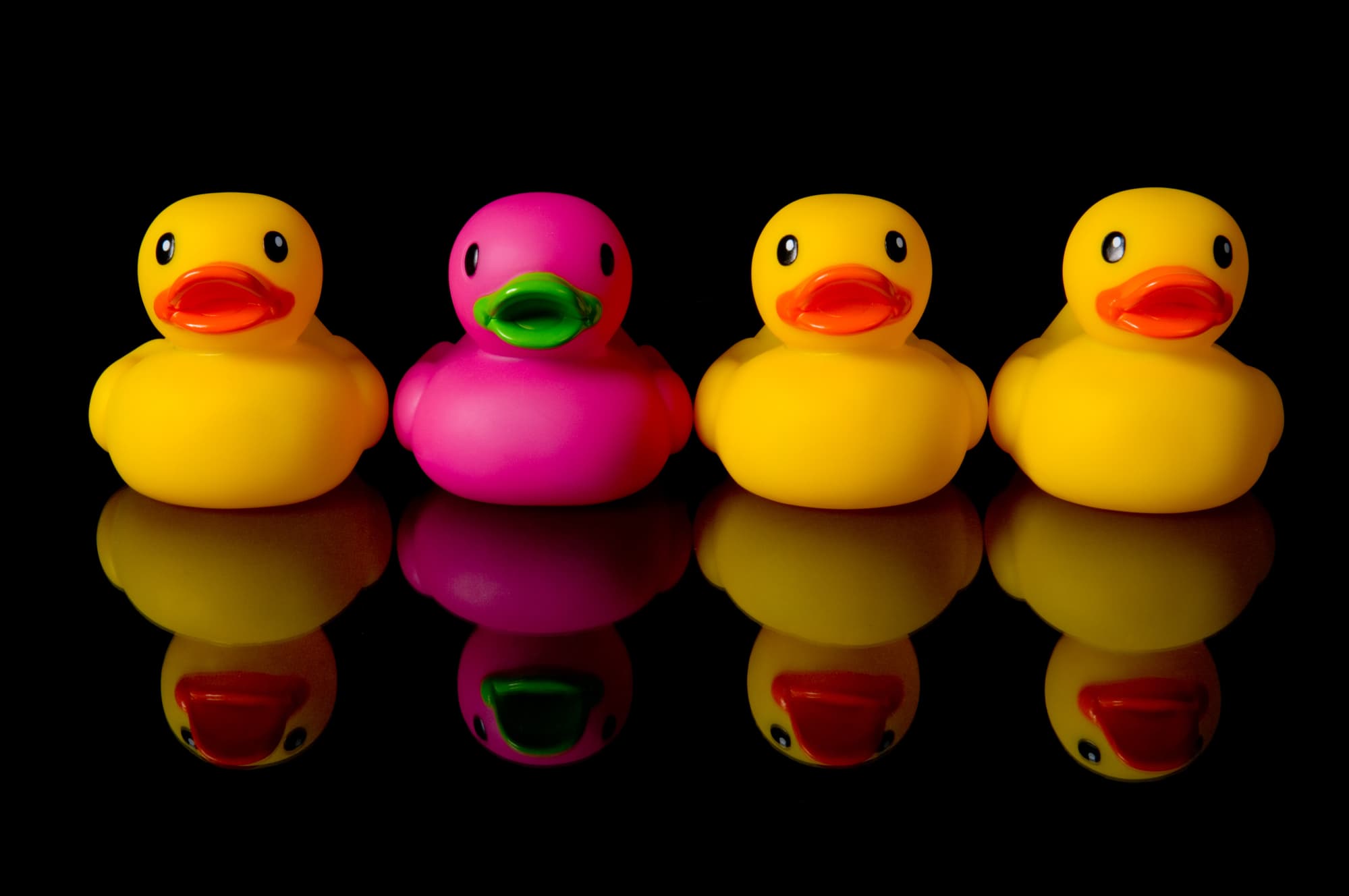 ducks in a row