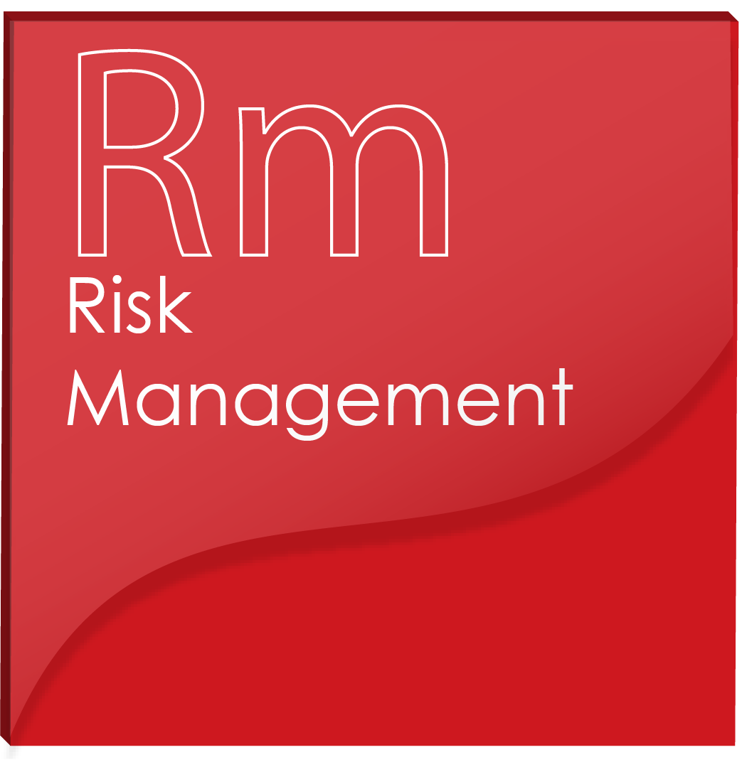 Risk Management Element